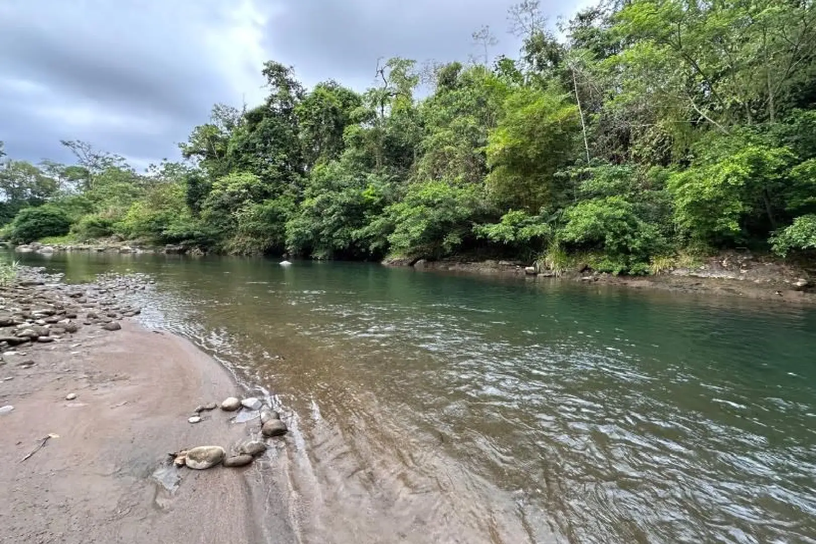 A river with trees on the side of it