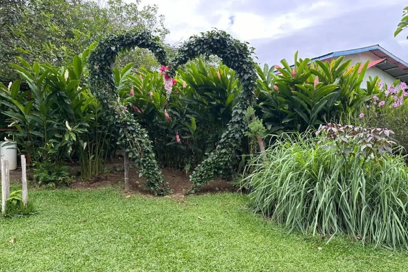 A heart shaped arch made of plants in the shape of a heart.