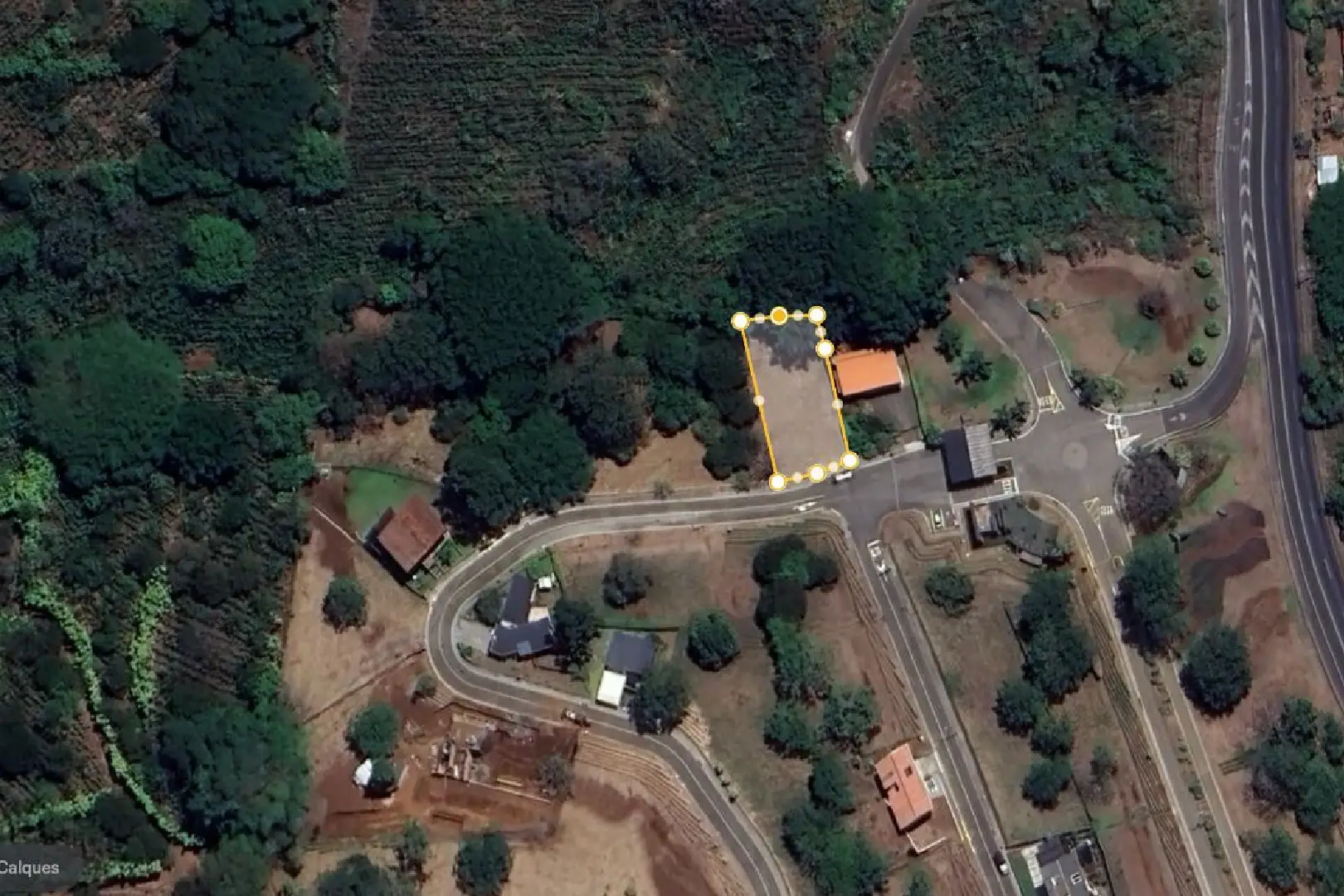 A satellite image of a house and some trees