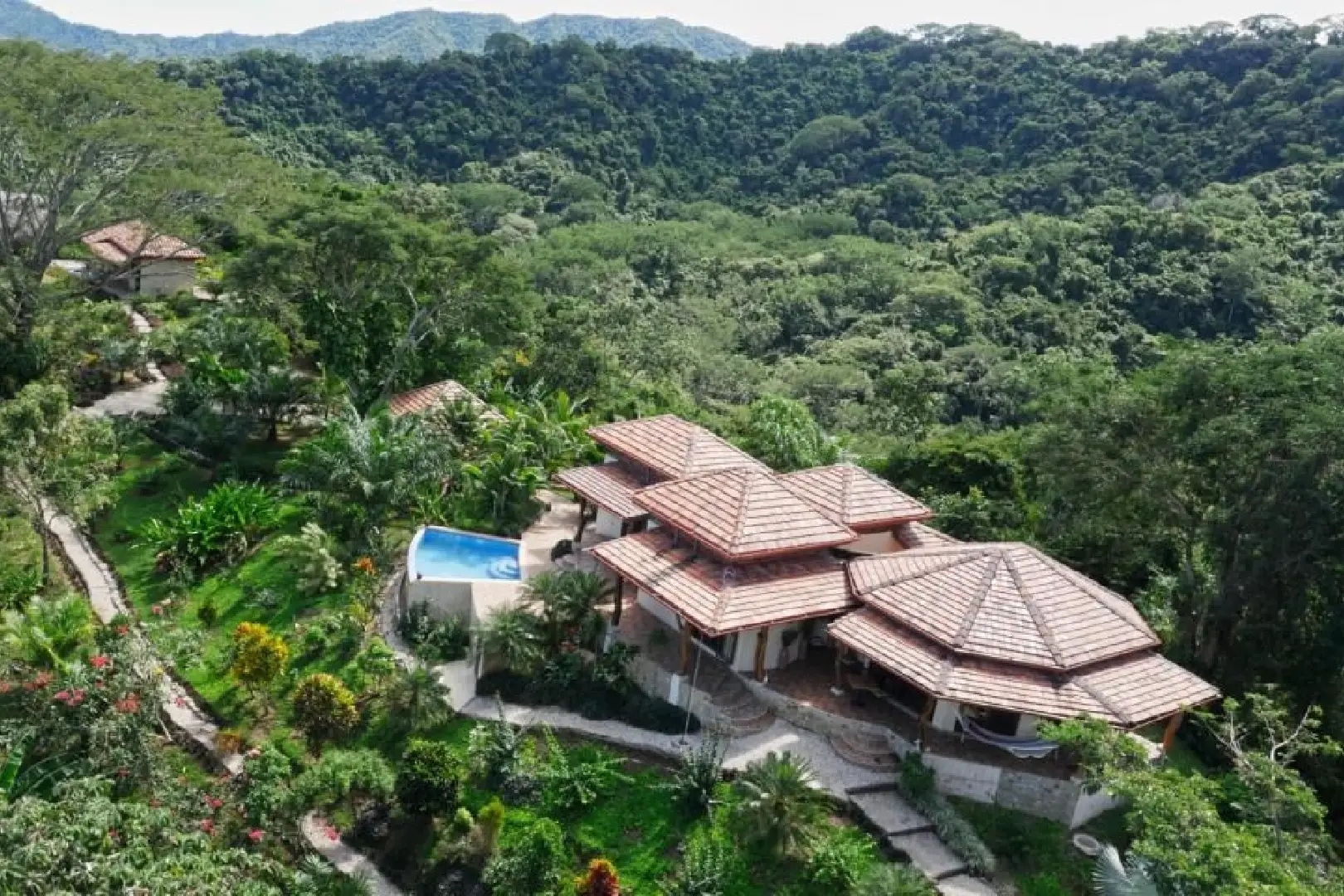 A large house in the middle of a lush green forest.