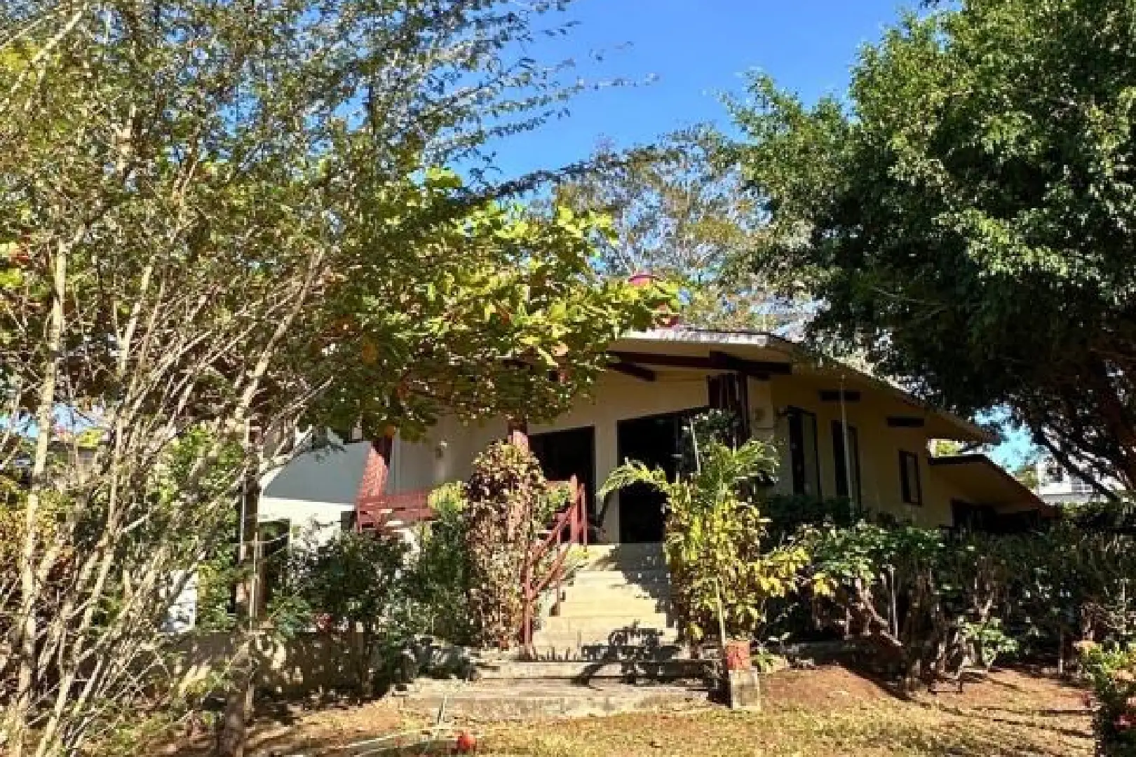 A house with trees and bushes in front of it